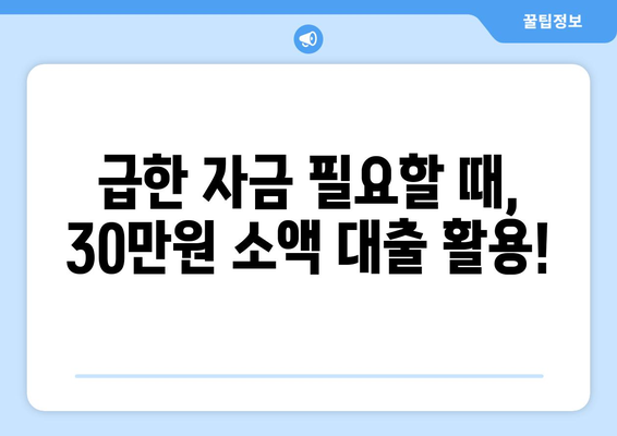 서울특별시 송파구 잠실동 주부 소액 30만원 대출