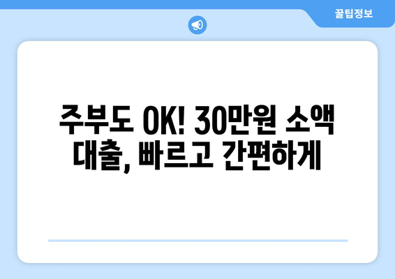 제주특별자치도 제주시 이도일동 주부 소액 30만원 대출