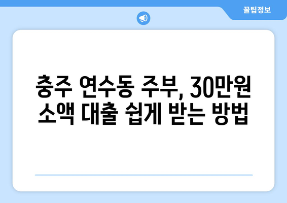 충청북도 충주시 연수동 주부 소액 30만원 대출