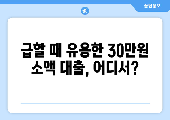 인천광역시 서구 가정동 주부 소액 30만원 대출