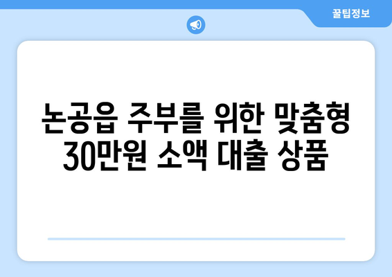 부산광역시 달성군 논공읍 주부 소액 30만원 대출