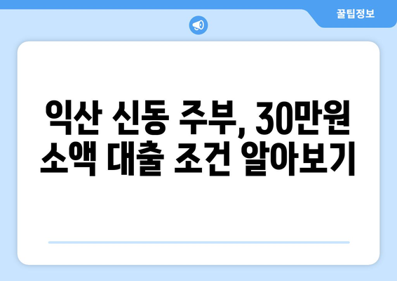 전라북도 익산시 신동 주부 소액 30만원 대출