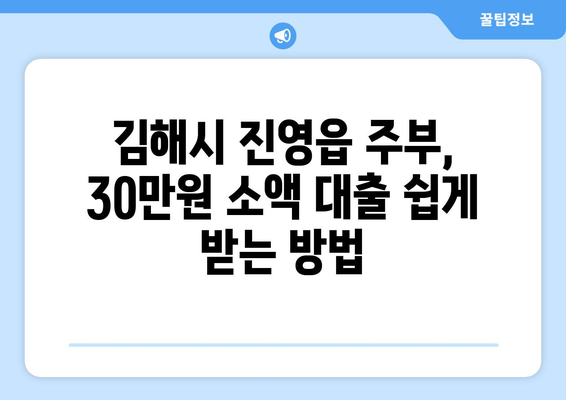 경상남도 김해시 진영읍 주부 소액 30만원 대출