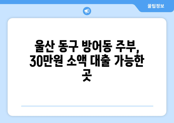 울산광역시 동구 방어동 주부 소액 30만원 대출