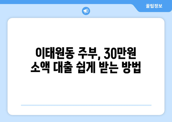 서울특별시 용산구 이태원동 주부 소액 30만원 대출