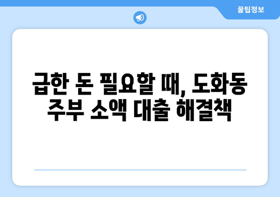 인천광역시 남구 도화동 주부 소액 30만원 대출