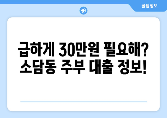 세종특별자치시 소담동 주부 소액 30만원 대출