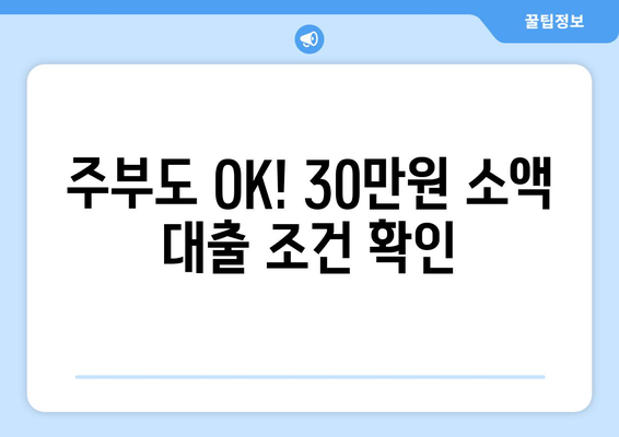 고양시 일산동구 풍산동 주부 소액 30만원 대출