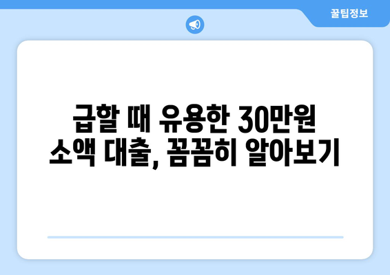 세종특별자치시 세종시 조치원읍 주부 소액 30만원 대출