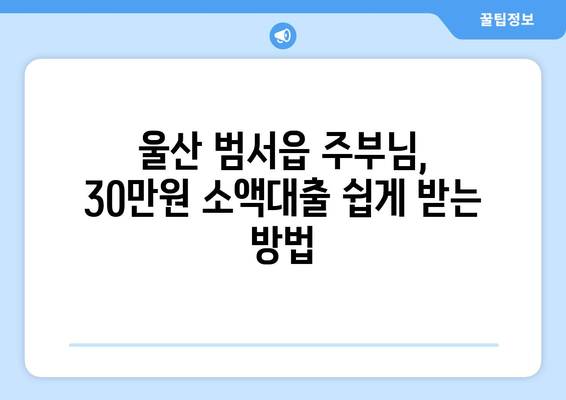 울산광역시 울주군 범서읍 주부 소액 30만원 대출