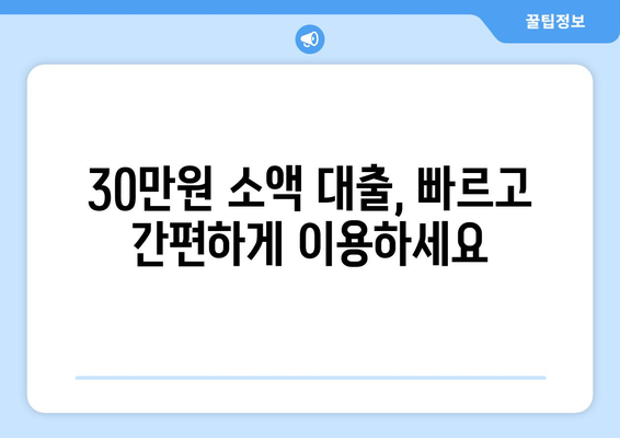 세종특별자치시 세종시 아름동 주부 소액 30만원 대출