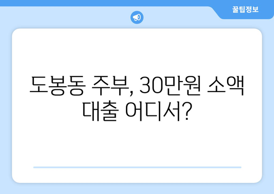 서울특별시 도봉구 도봉동 주부 소액 30만원 대출