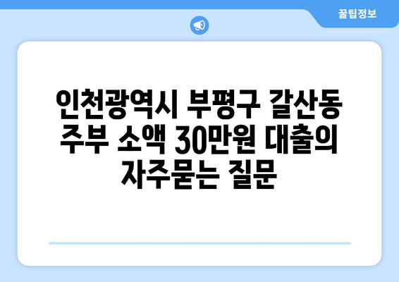 인천광역시 부평구 갈산동 주부 소액 30만원 대출