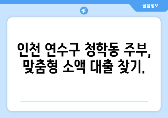 인천광역시 연수구 청학동 주부 소액 30만원 대출