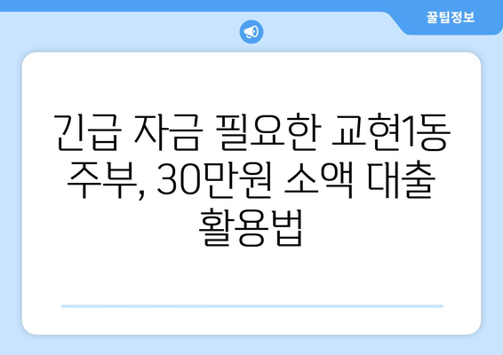 충청북도 충주시 교현1동 주부 소액 30만원 대출