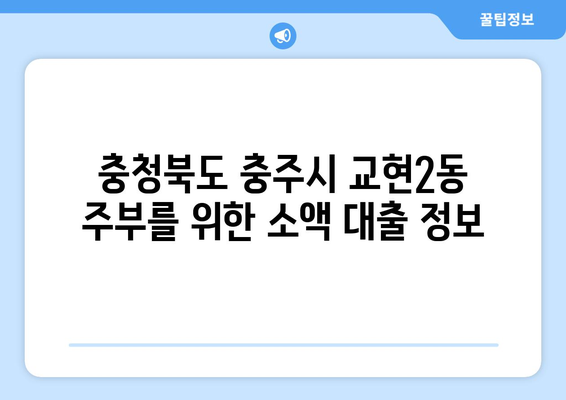 충청북도 충주시 교현2동 주부 소액 30만원 대출