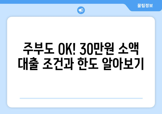 대전광역시 대덕구 송촌동 주부 소액 30만원 대출