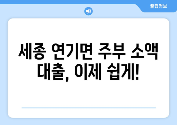 세종특별자치시 연기면 주부 소액 30만원 대출