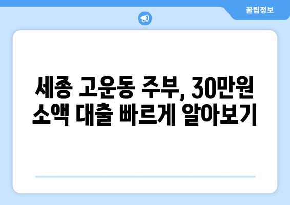 세종특별자치시 고운동 주부 소액 30만원 대출