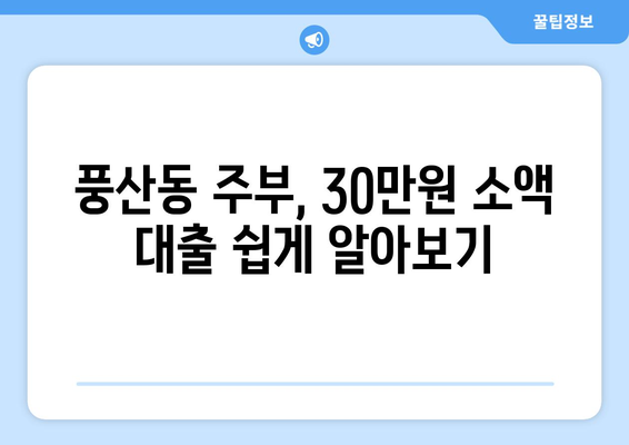 고양시 일산동구 풍산동 주부 소액 30만원 대출