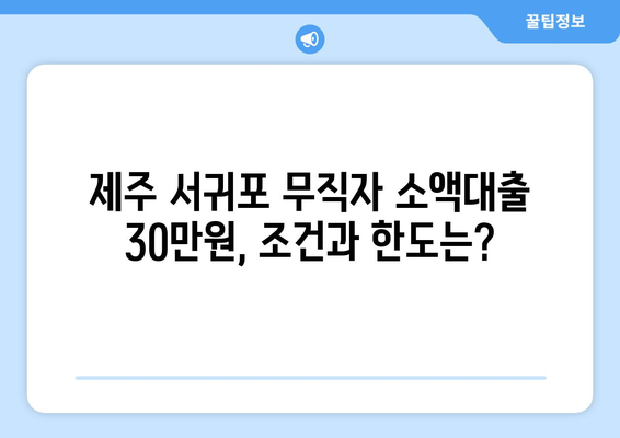 제주특별자치도 제주시 서귀포 무직자 소액 30만원 대출