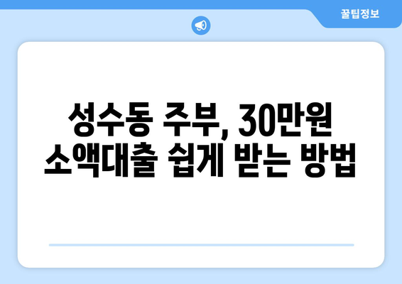 서울특별시 성동구 성수동 주부 소액 30만원 대출