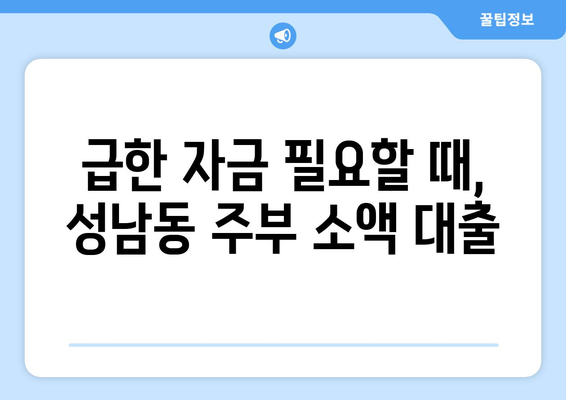 성남시 중원구 성남동 주부 소액 30만원 대출