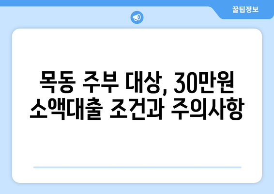 서울특별시 양천구 목동 주부 소액 30만원 대출