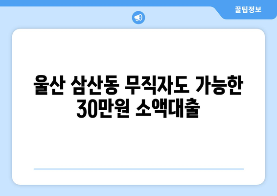 울산광역시 남구 삼산동 무직자 소액 30만원 대출