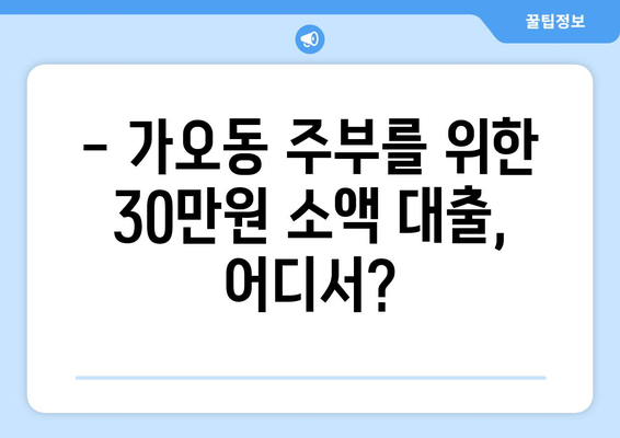 대전광역시 동구 가오동 주부 소액 30만원 대출