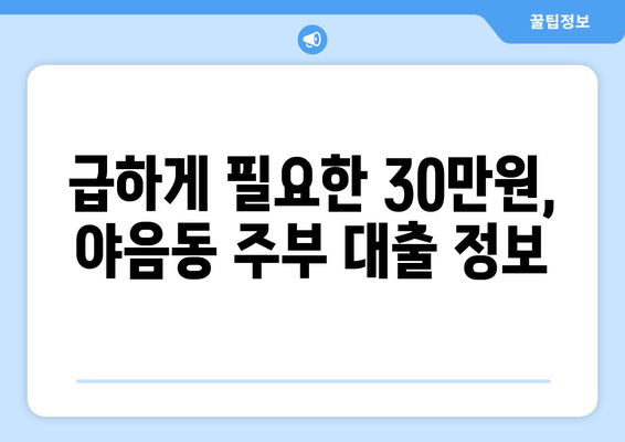 울산광역시 남구 야음동 주부 소액 30만원 대출