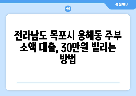 전라남도 목포시 용해동 주부 소액 30만원 대출