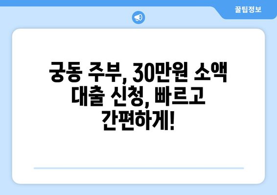 대전광역시 유성구 궁동 주부 소액 30만원 대출