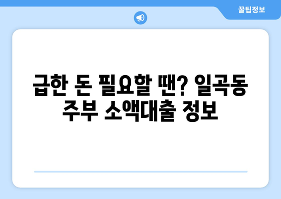 광주광역시 북구 일곡동 주부 소액 30만원 대출