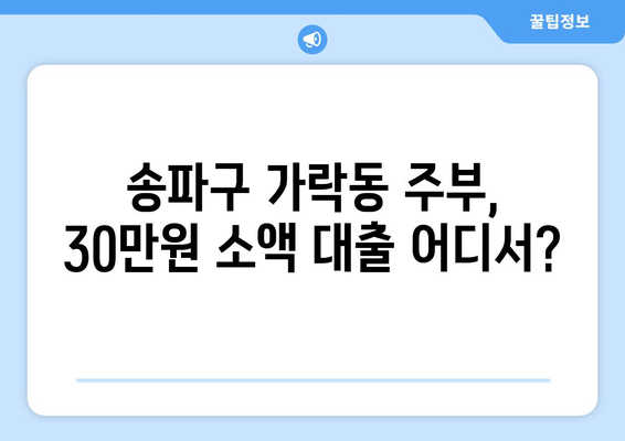 서울특별시 송파구 가락동 주부 소액 30만원 대출