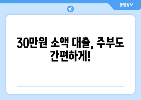 대전광역시 유성구 원신흥동 주부 소액 30만원 대출