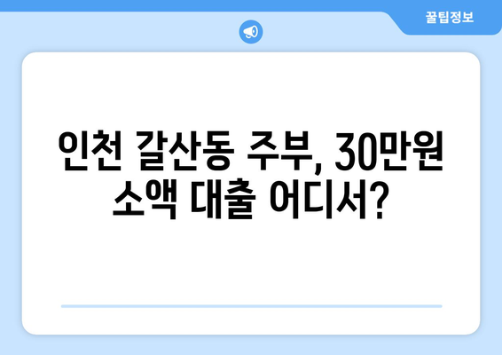 인천광역시 부평구 갈산동 주부 소액 30만원 대출