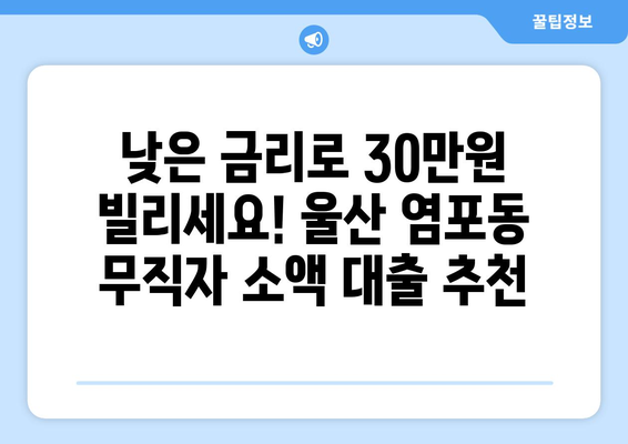 울산광역시 북구 염포동 무직자 소액 30만원 대출