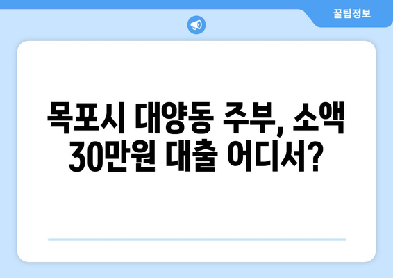 전라남도 목포시 대양동 주부 소액 30만원 대출