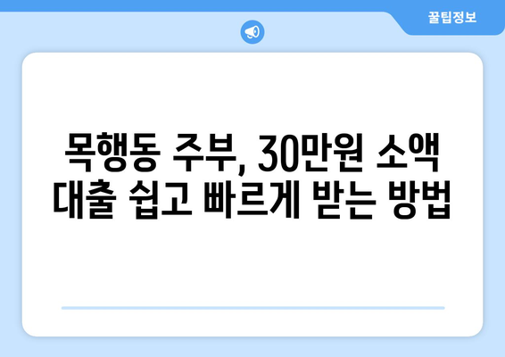 충청북도 충주시 목행동 주부 소액 30만원 대출