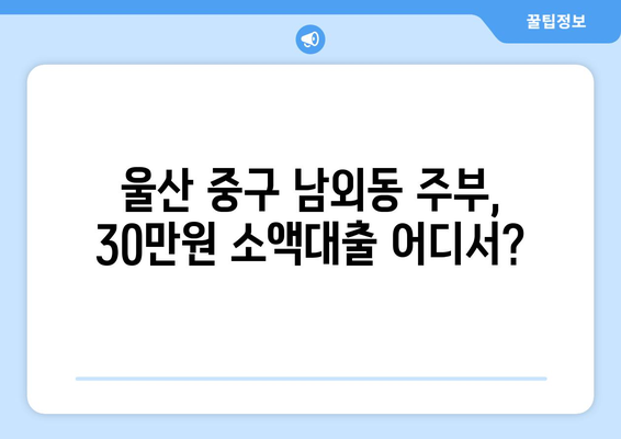 울산광역시 중구 남외동 주부 소액 30만원 대출