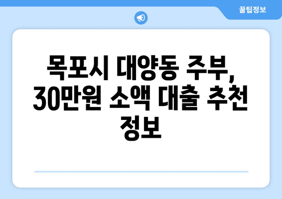 전라남도 목포시 대양동 주부 소액 30만원 대출