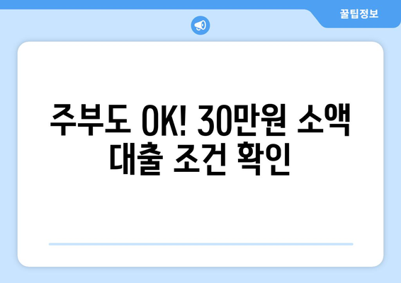 서울특별시 강동구 천호동 주부 소액 30만원 대출