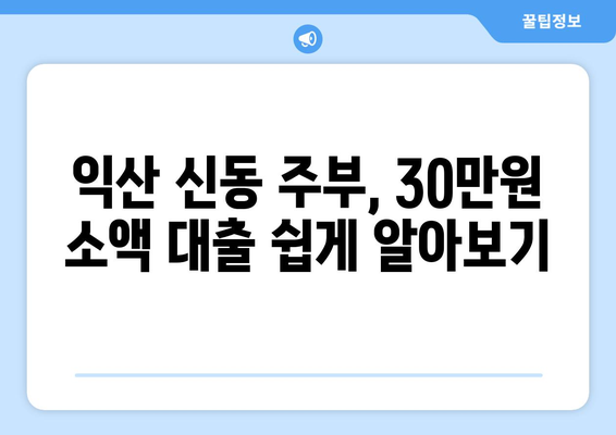 전라북도 익산시 신동 주부 소액 30만원 대출