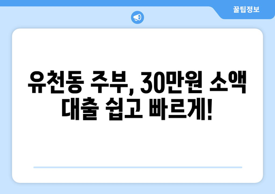 대전광역시 중구 유천동 주부 소액 30만원 대출