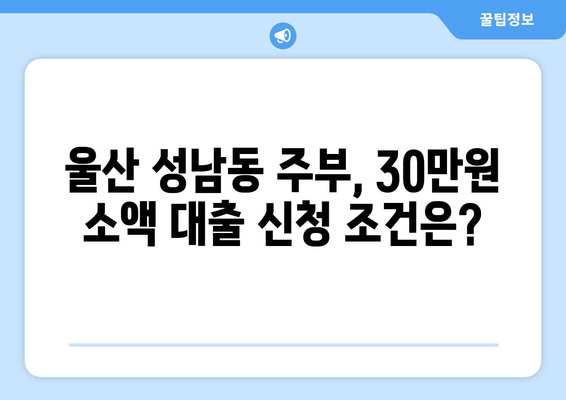 울산광역시 중구 성남동 주부 소액 30만원 대출