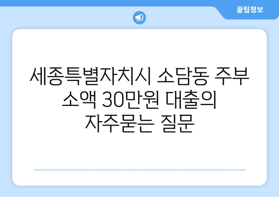 세종특별자치시 소담동 주부 소액 30만원 대출