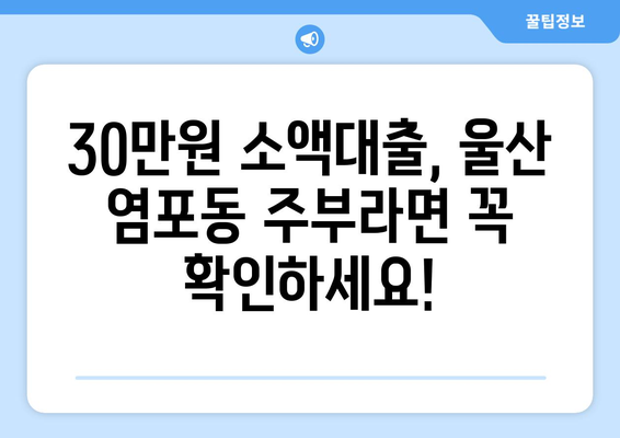 울산광역시 북구 염포동 주부 소액 30만원 대출