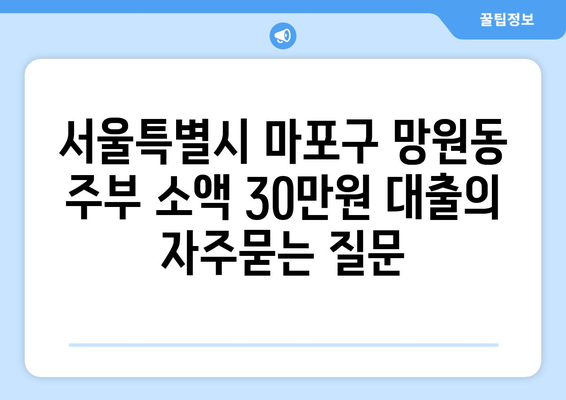 서울특별시 마포구 망원동 주부 소액 30만원 대출