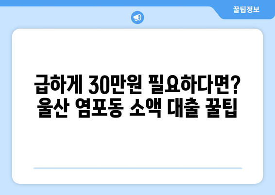 울산광역시 북구 염포동 무직자 소액 30만원 대출